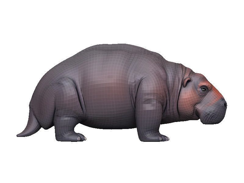 Manatee Low-poly 3D model_6