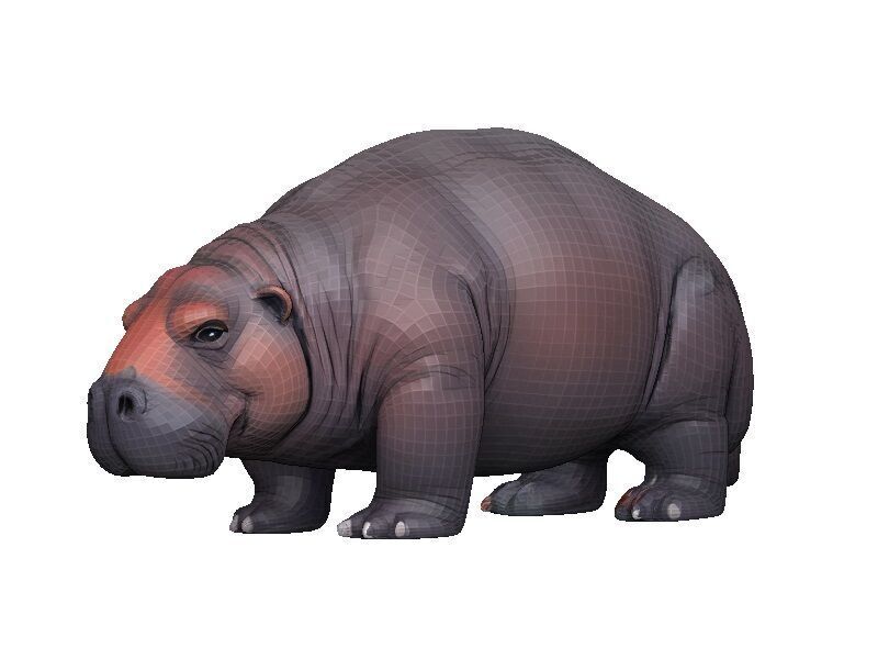 Manatee Low-poly 3D model_2