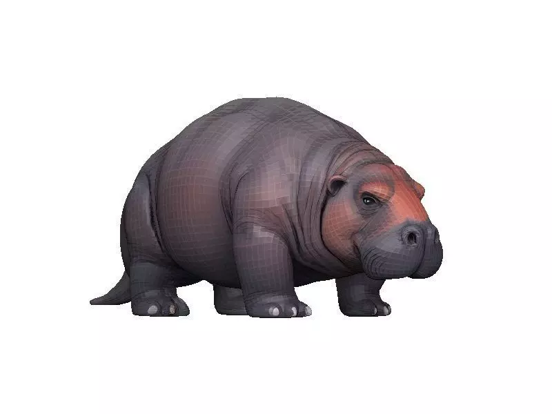Manatee Low-poly 3D model_0