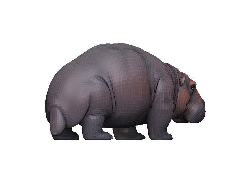 Manatee Low-poly 3D model_5