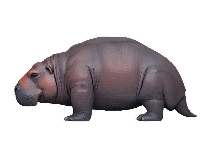 Manatee Low-poly 3D model_3