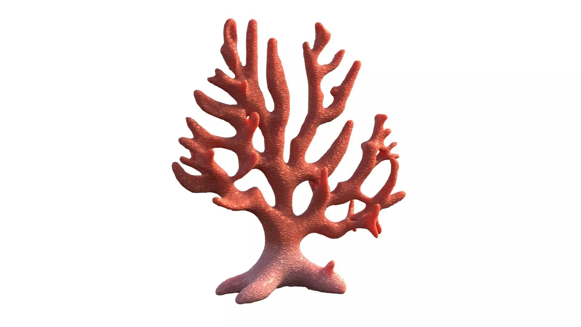 Coral reef v7 Low-poly 3D model