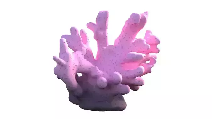 Coral reef v8  Low-poly 3D model