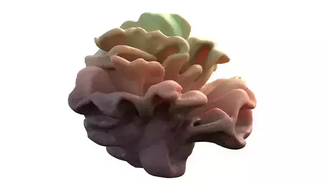 Coral reef v9  Low-poly 3D model