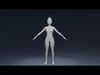 Stylized Male Female Body Base IK FK Face Rig Animation Ready Low-poly 3D model_3