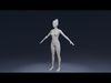 Stylized Male Female Body Base IK FK Face Rig Animation Ready Low-poly 3D model_4