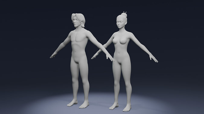 Stylized Human Body Base Mesh 3D Model  IK FK Face Rig 3D Model Collection
