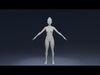 Stylized Human Body Base Mesh 3D Model  IK FK Face Rig 3D Model Collection_3