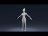 Stylized Human Body Base Mesh 3D Model  IK FK Face Rig 3D Model Collection_4