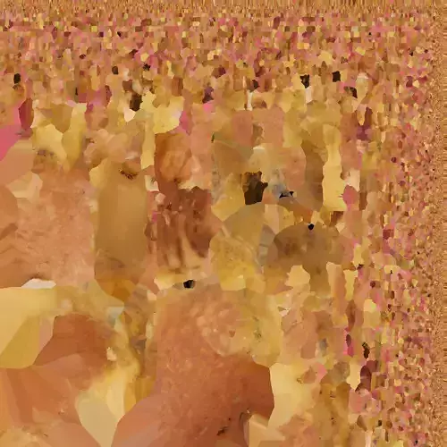 Up close Peach Texture 