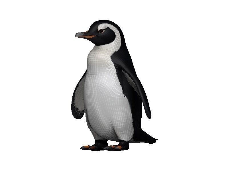 Penguin Low-poly 3D model_2
