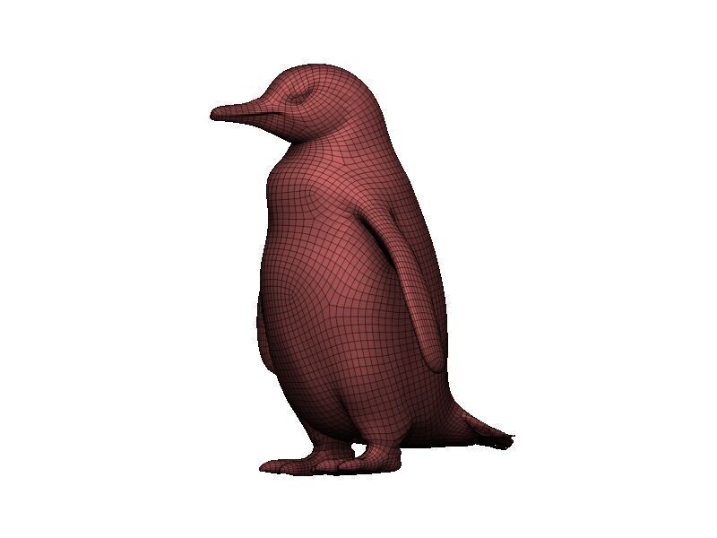 Penguin Low-poly 3D model_8