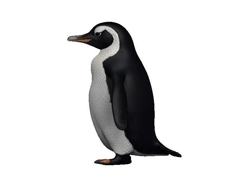 Penguin Low-poly 3D model_3