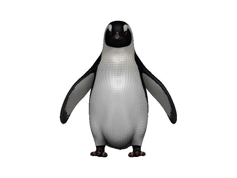 Penguin Low-poly 3D model_1