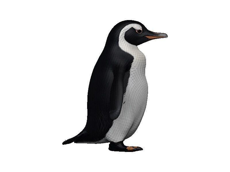Penguin Low-poly 3D model_5