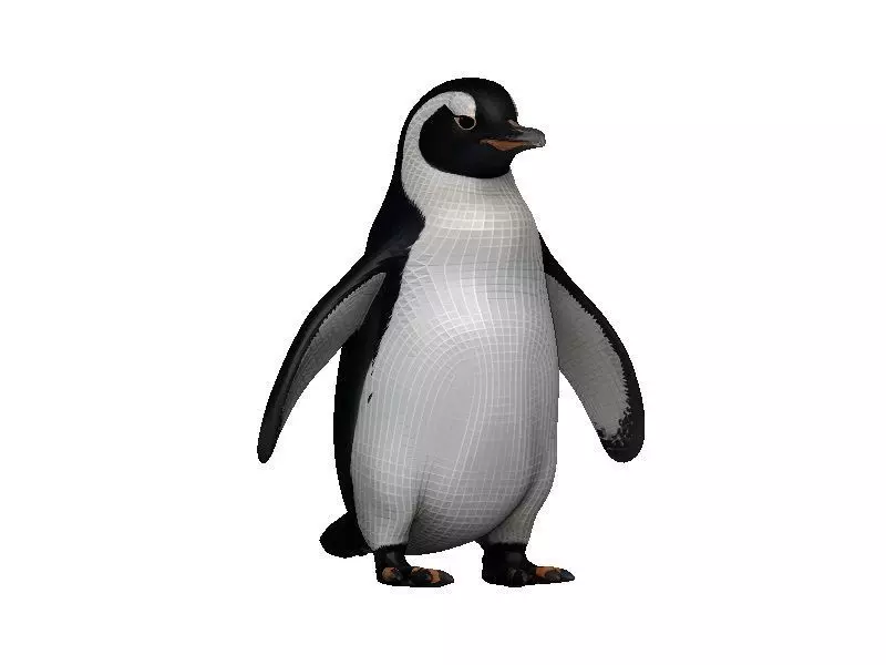 Penguin Low-poly 3D model_0