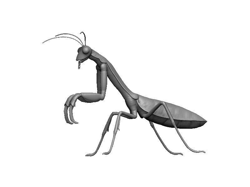 Praying Mantis Low-poly 3D model_9