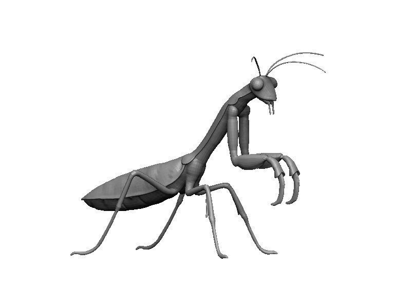 Praying Mantis Low-poly 3D model_8