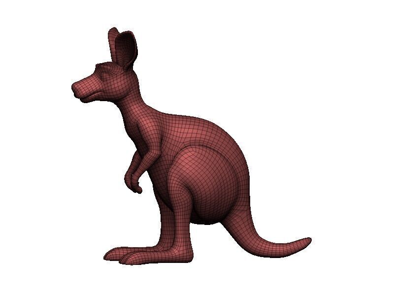 Kangaroo Low-poly 3D model_10