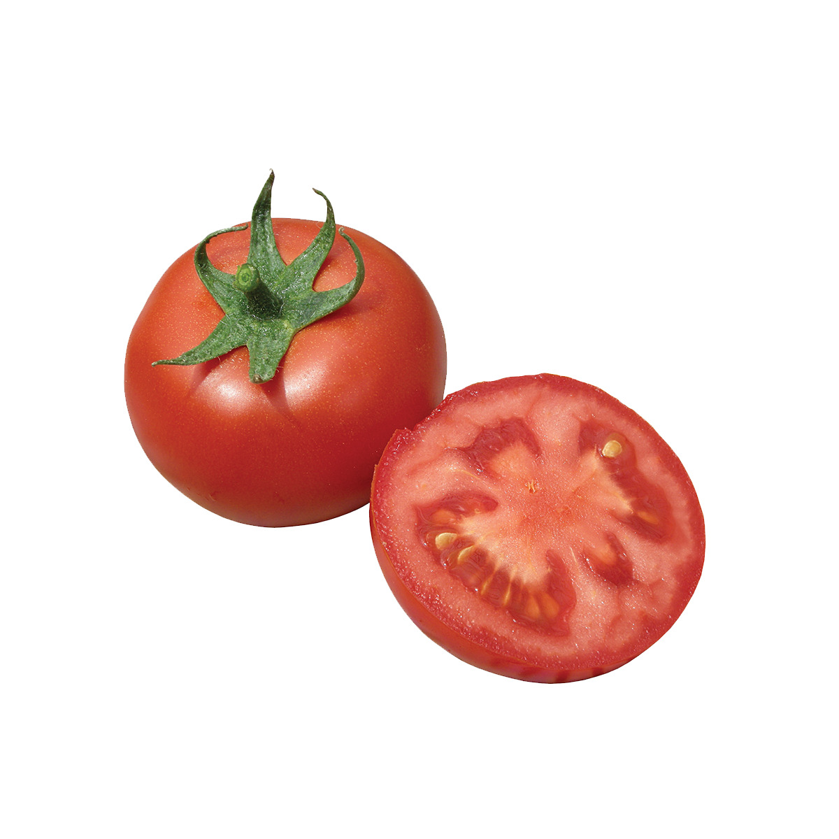 tomato paste  Free low-poly 3D model_1