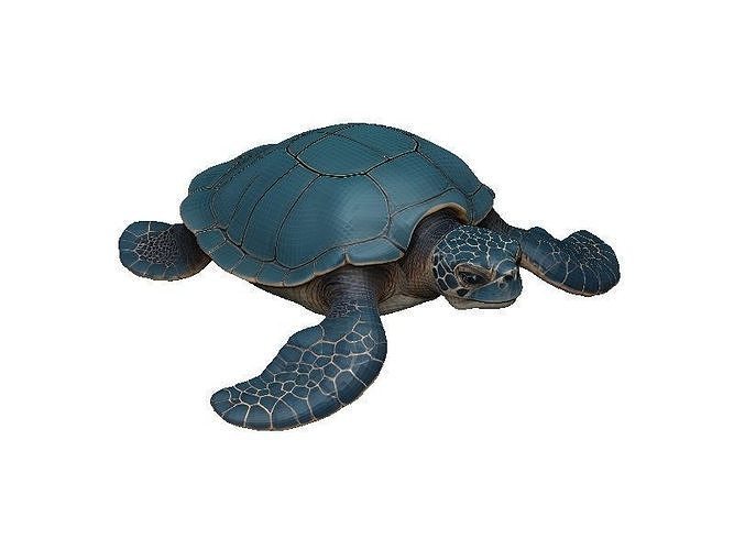 Sea Turtle Low-poly 3D model