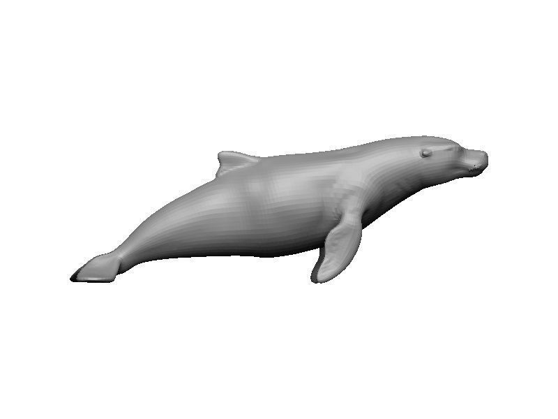 Sea Lion Low-poly 3D model_6