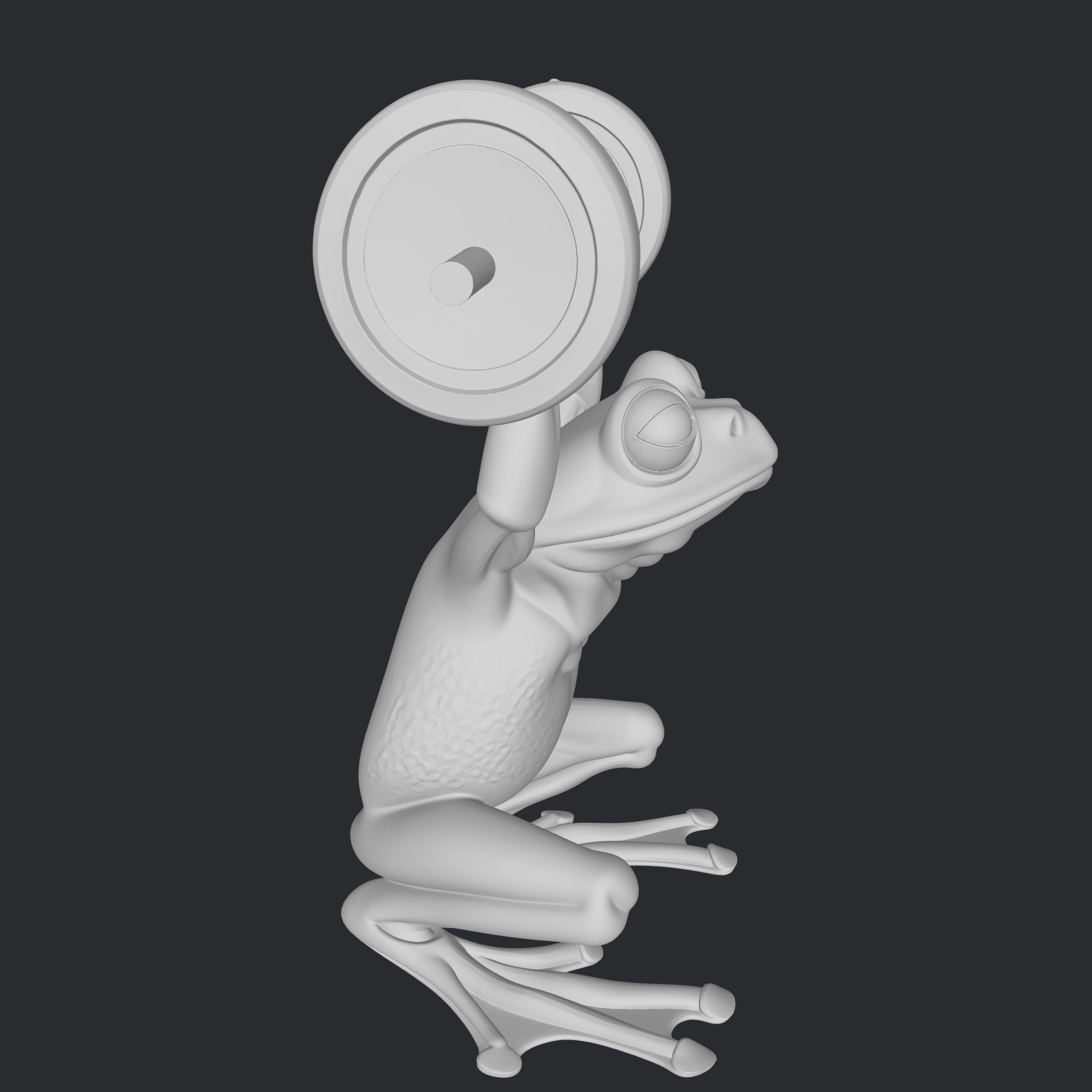 frog fitness 3D print model_1