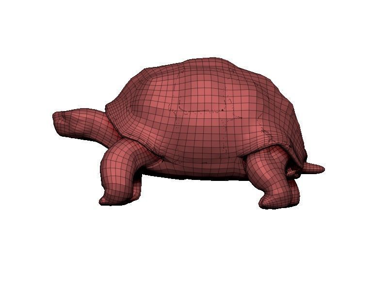 Tortoise Low-poly 3D model_8
