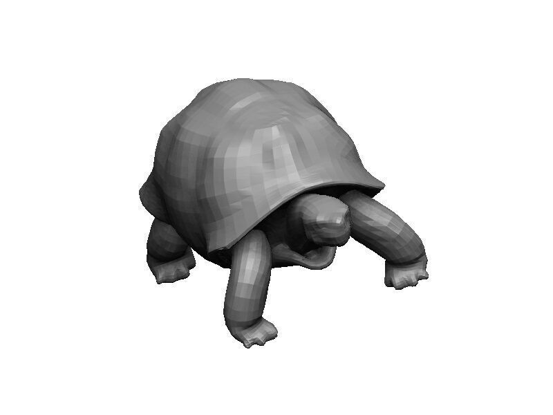 Tortoise Low-poly 3D model_7