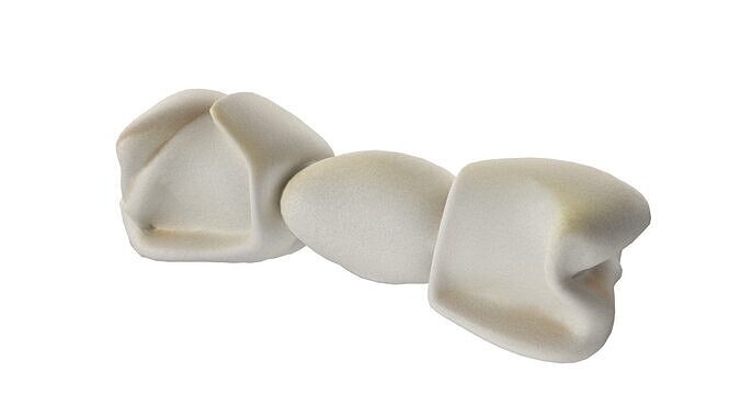 don bone chewable Low-poly 3D model