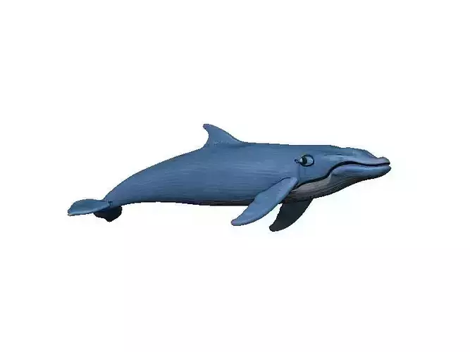 Whale Low-poly 3D model