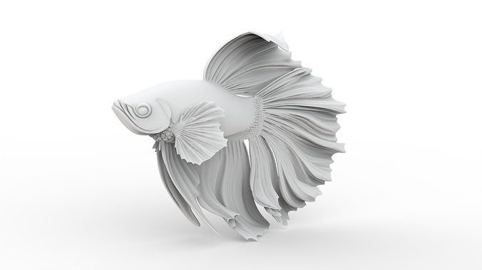 Betta Fish 3D Print Model 3D print model