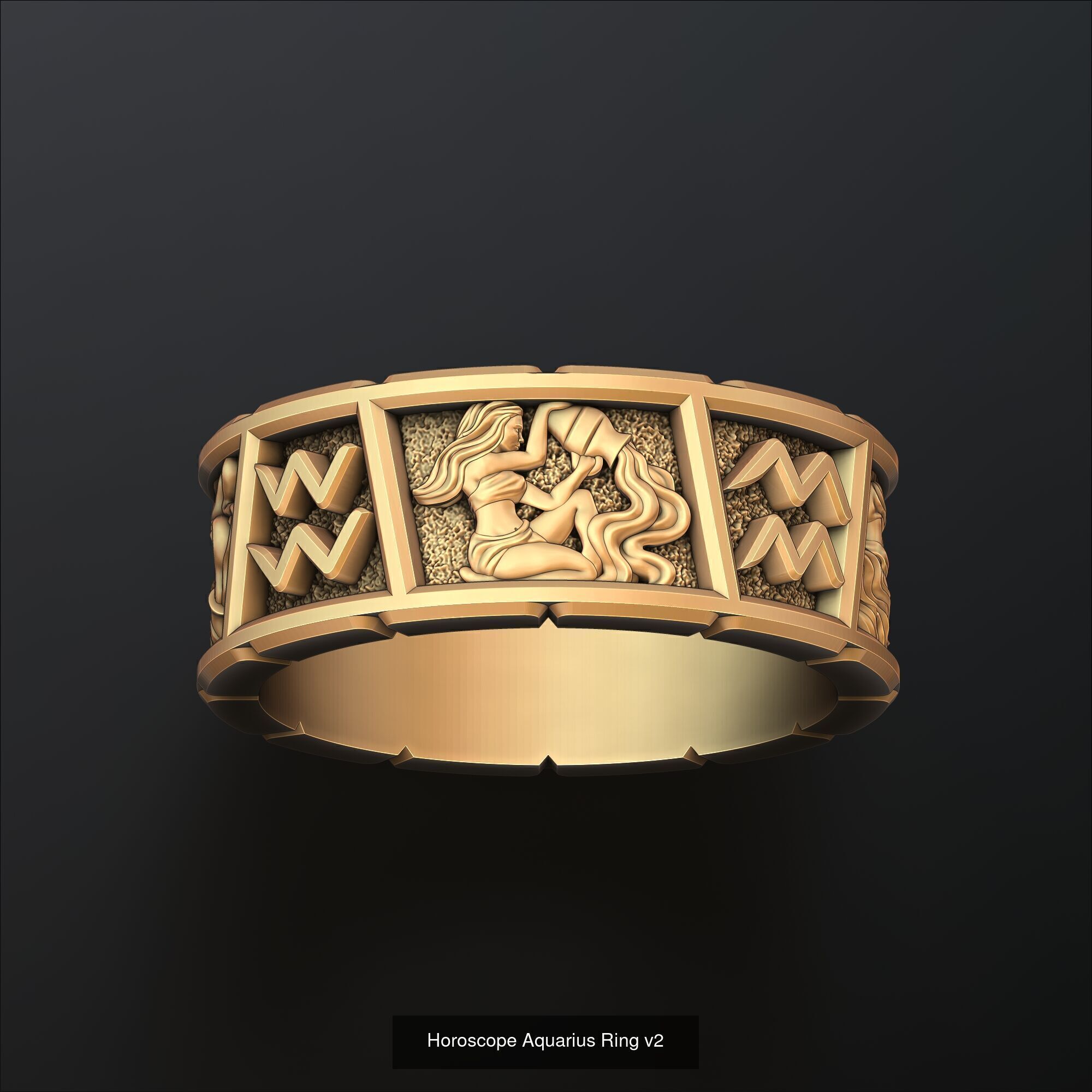 Horoscope Aquarius Ring Pendant v2 Collection _4