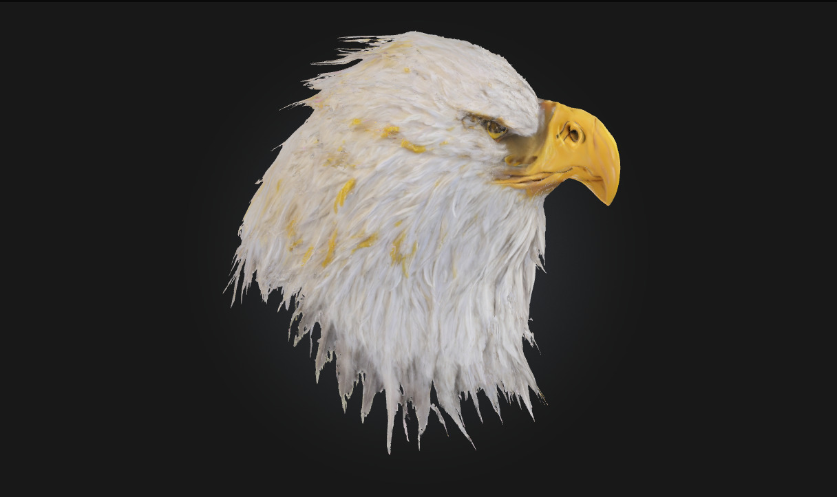 Majestic Stare Regal Animal Bust for Art and Wildlife Scenes 3D model_2