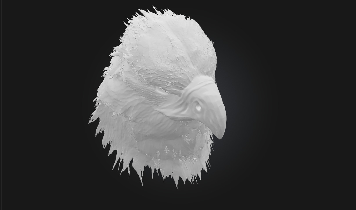 Majestic Stare Regal Animal Bust for Art and Wildlife Scenes 3D model_8