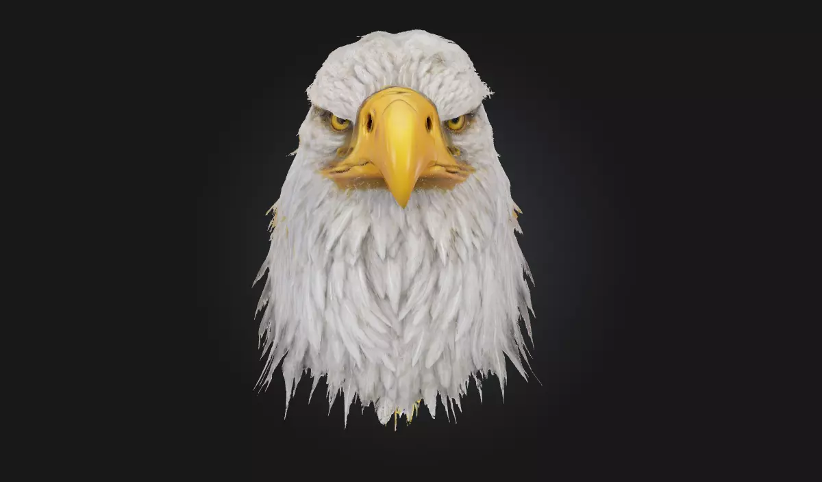 Majestic Stare Regal Animal Bust for Art and Wildlife Scenes 3D model_0