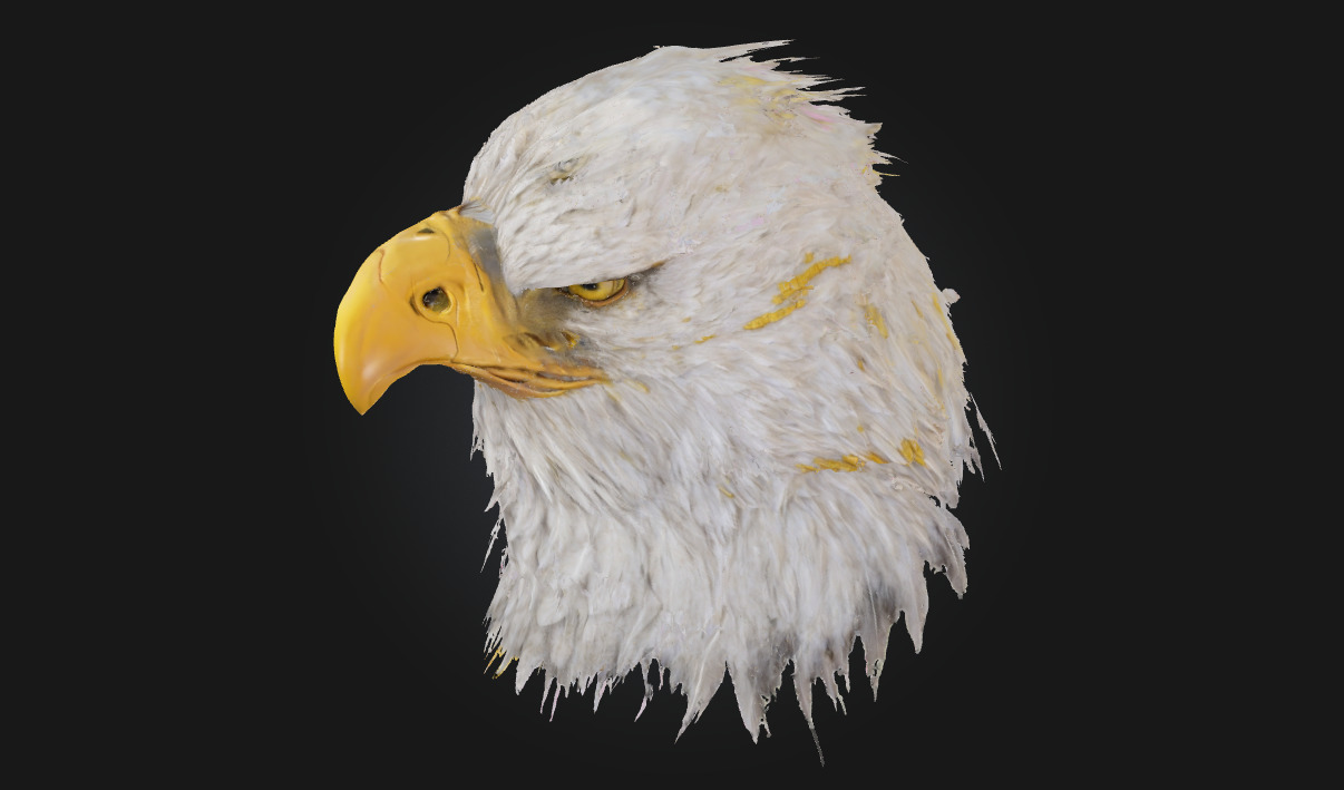 Majestic Stare Regal Animal Bust for Art and Wildlife Scenes 3D model_4
