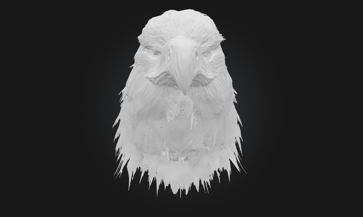 Majestic Stare Regal Animal Bust for Art and Wildlife Scenes 3D model_5