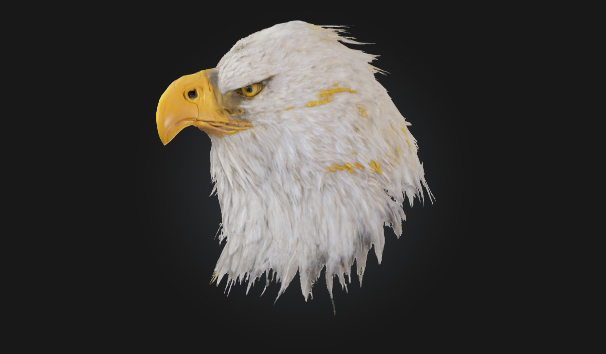 Majestic Stare Regal Animal Bust for Art and Wildlife Scenes 3D model_1