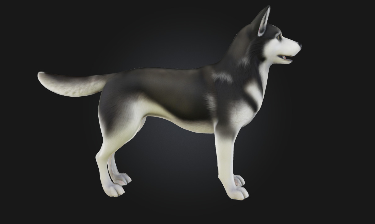 Husky Stand  Loyal Companion Model for Wildlife 3D model_4