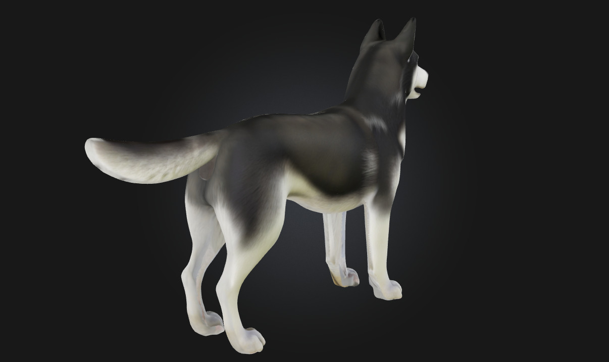 Husky Stand  Loyal Companion Model for Wildlife 3D model_3