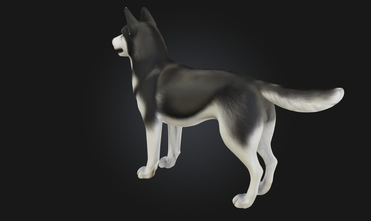 Husky Stand  Loyal Companion Model for Wildlife 3D model_2