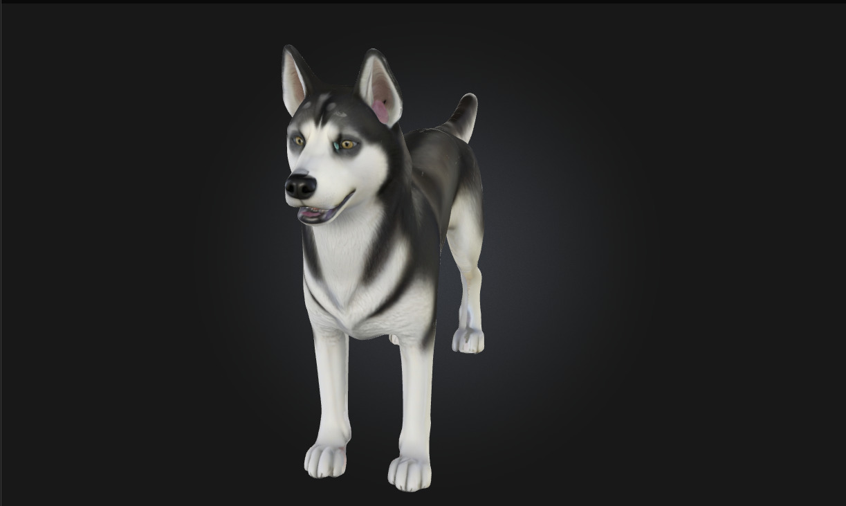 Husky Stand  Loyal Companion Model for Wildlife 3D model_6