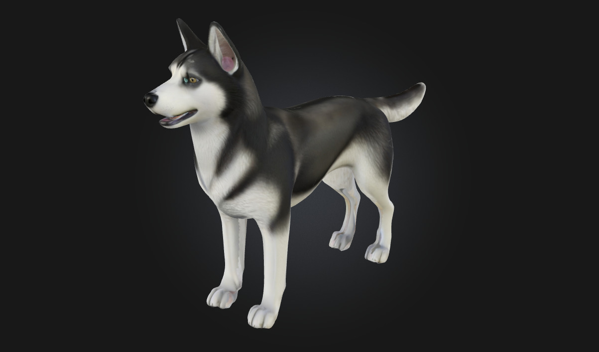 Husky Stand  Loyal Companion Model for Wildlife 3D model_1