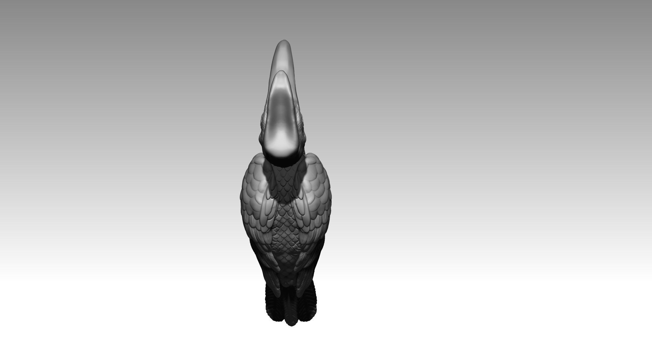Hornbill 3D print model_2