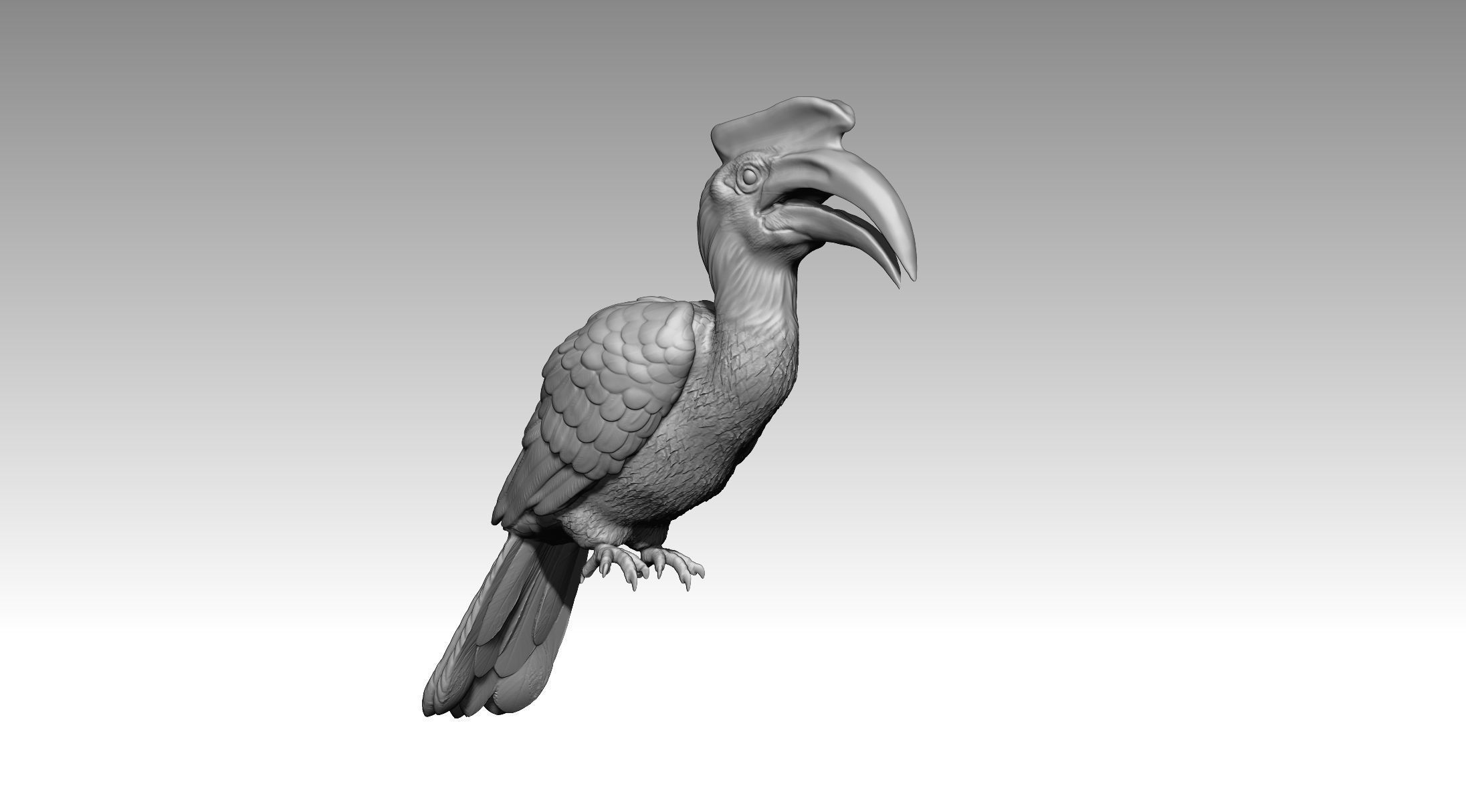 Hornbill 3D print model_12