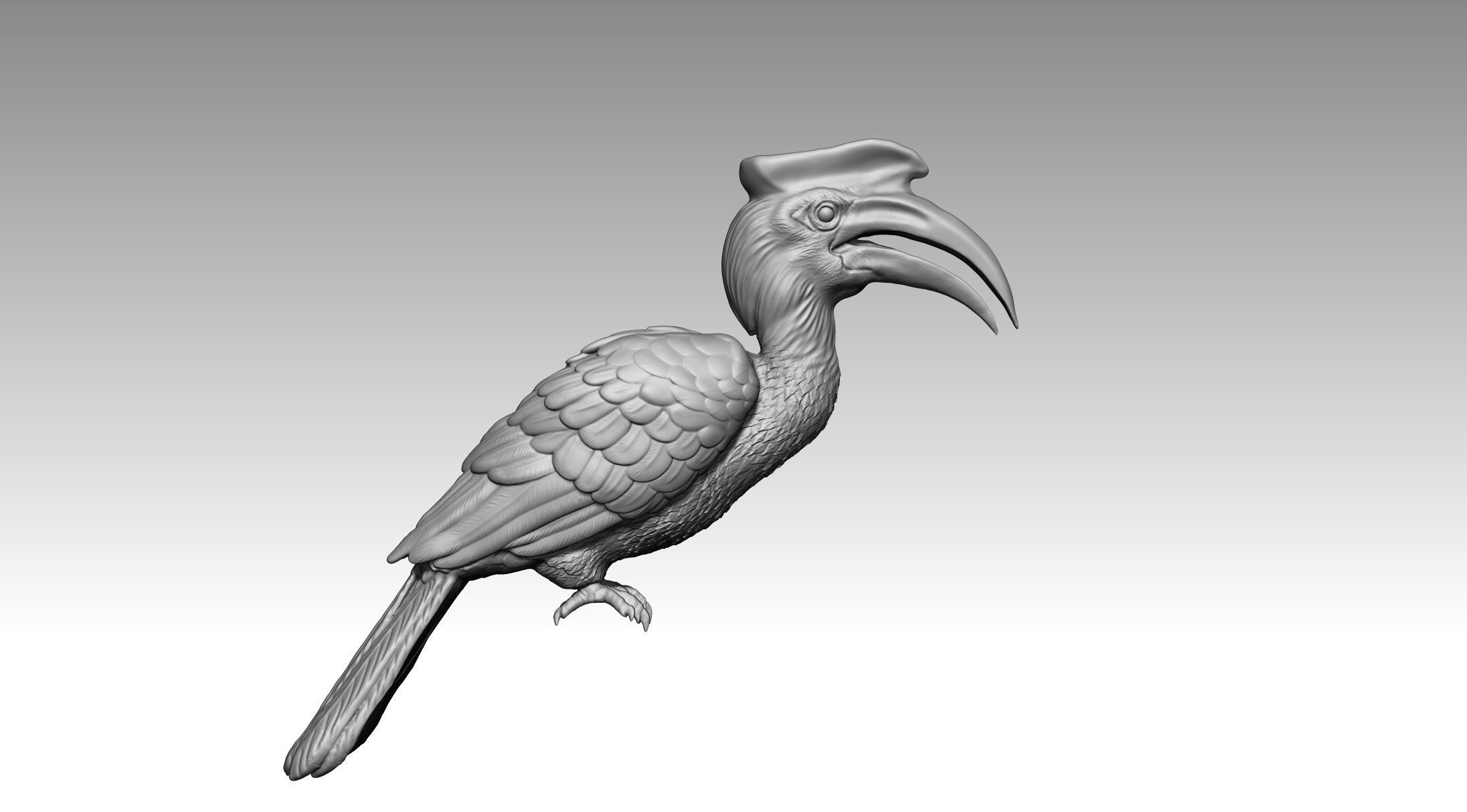 Hornbill 3D print model_7