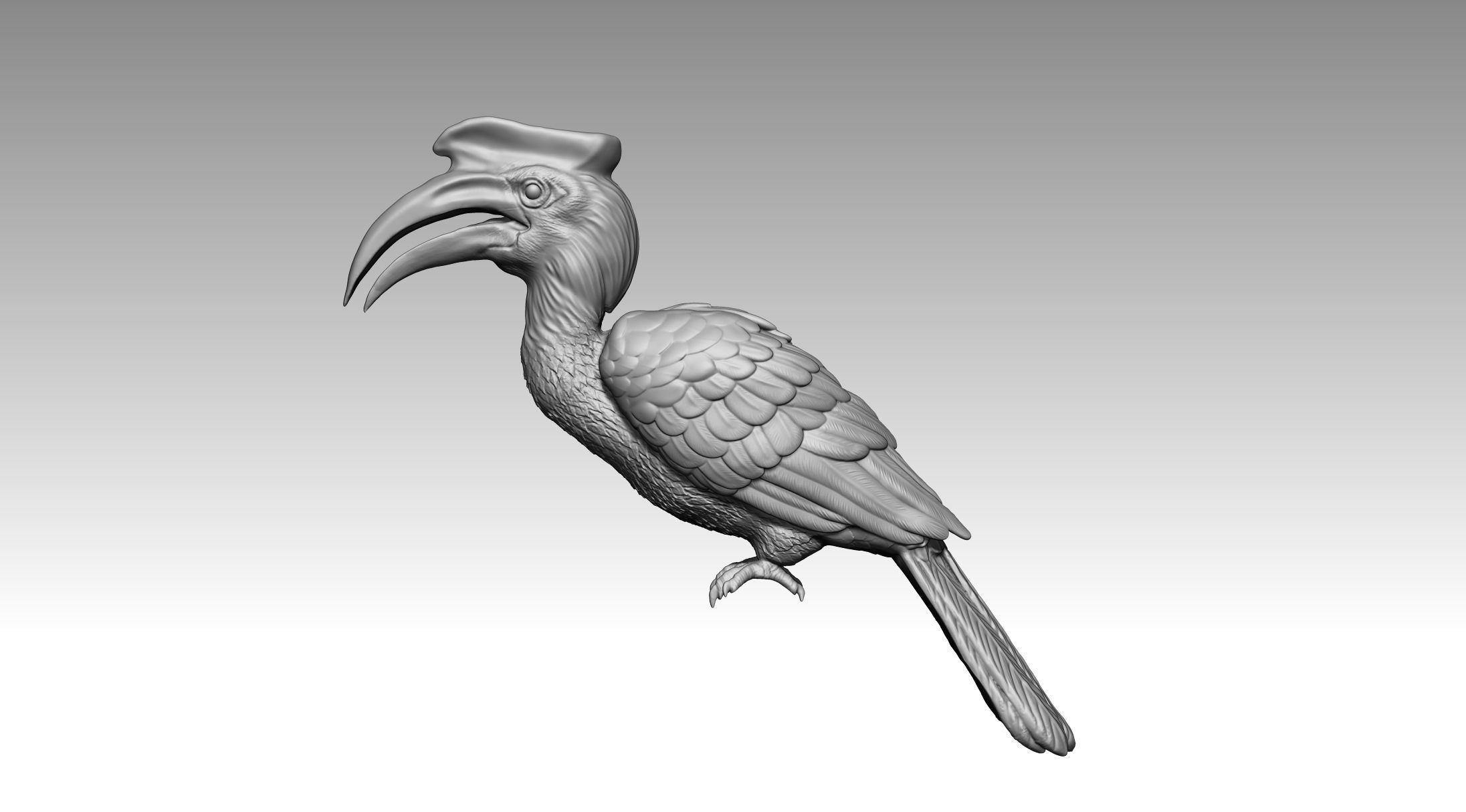Hornbill 3D print model_9