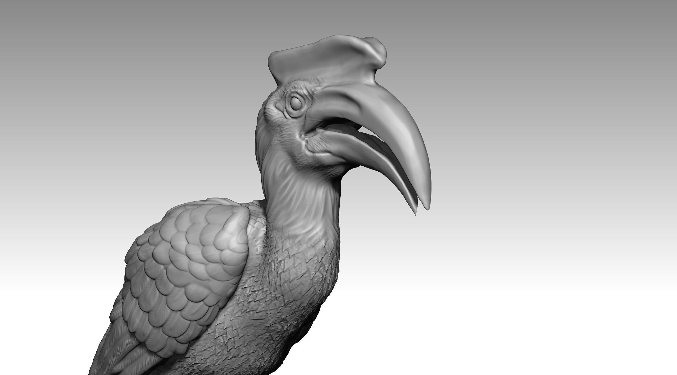 Hornbill 3D print model_4
