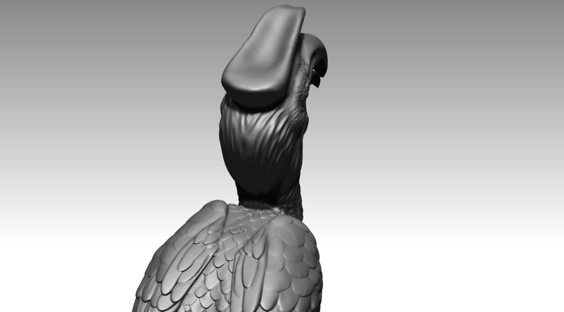 Hornbill 3D print model_5